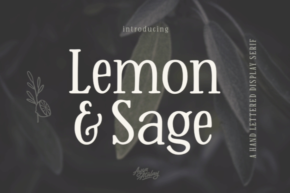 Lemon and Sage Serif Font Review