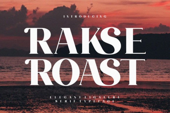 Rakse Roast: A Modern Sans Serif Font for Branding Projects