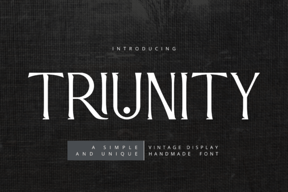 Triunity: A Modern Sans Serif Font for Small Business Branding