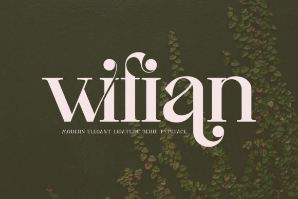 Wifian Serif Font for Modern Web Design
